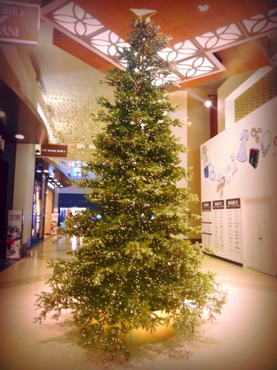 ハワイのクリスマスデコレーション①