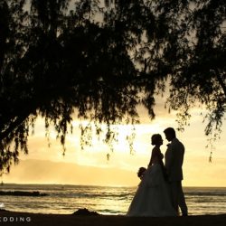 カスタマイズフォトツアー(ノースショアトリップ)③