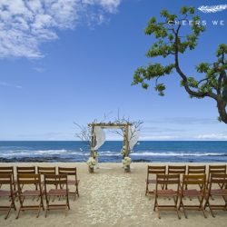 Cheers Wedding × Daichi Miuraコラボハワイウェディングプラン①