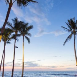 ハワイ情報専門インスタアカウント開設！！