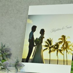 全商品10％OFF！！アルバムフェア開催中！！