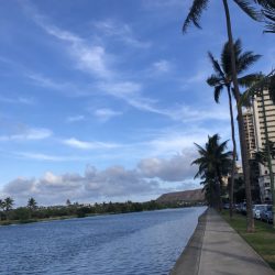 Today's Hawaii @ Ala Wai Canal