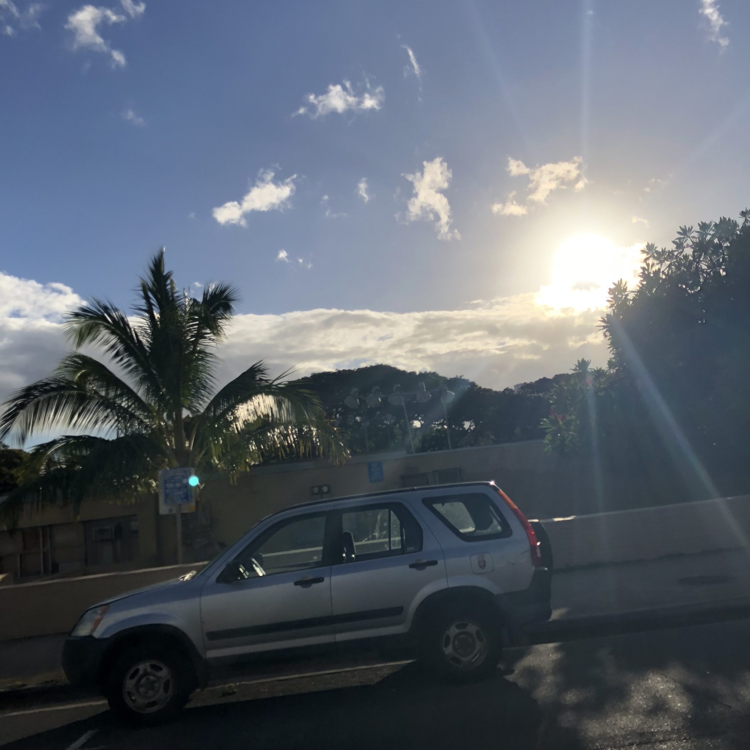 mahalo☀