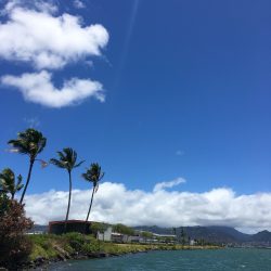 今日のハワイウェディングお天気