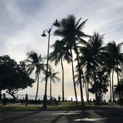 Today's Hawaii ☀︎