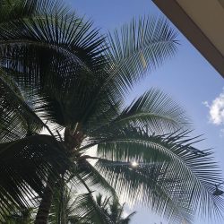 今日のハワイ☀8/19