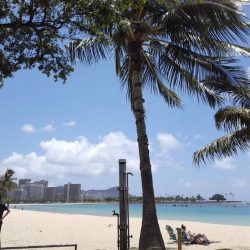 天気のいいハワイでは…