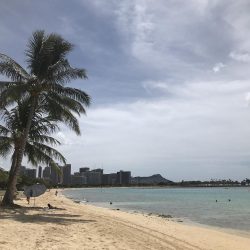 Today's Hawaii☀Surf Time!