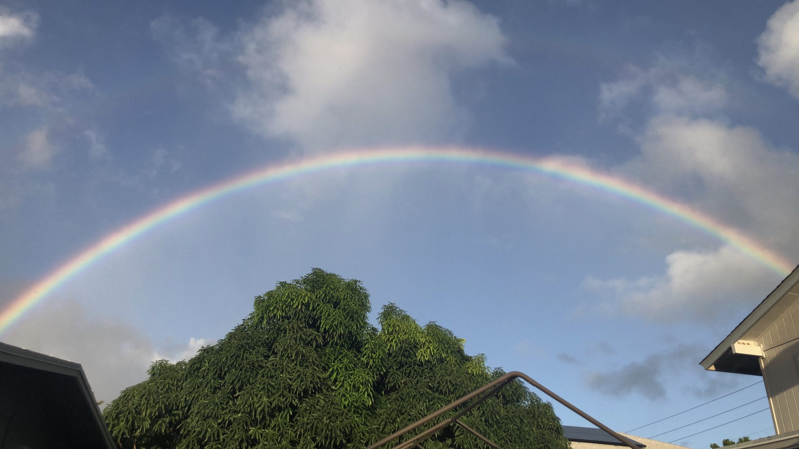 No Rain, No Rainbow