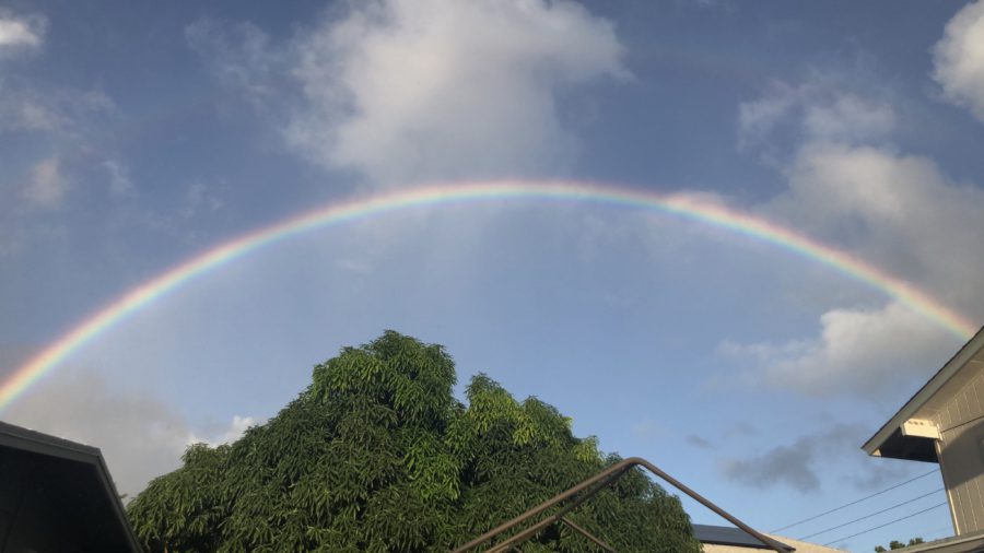 No Rain No Rainbow Blog ハワイ挙式 ハワイフォトウェディングのチアーズウェディング No Rain No Rainbow Blog ハワイ挙式 ハワイフォトウェディングのチアーズウェディング