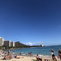 今日のワイキキビーチ