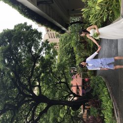 今日のハワイの天気