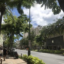 サイレントディスコ！