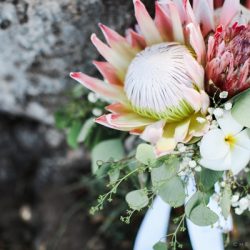 【ハワイ現地ブライダルフェア情報】★7月8月限定!!★会場見学付き特別相談会実施！