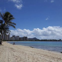 素敵なおふたり…