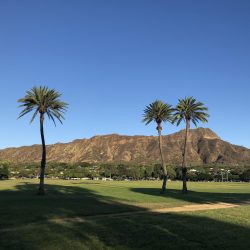 ハワイの美味しいご飯