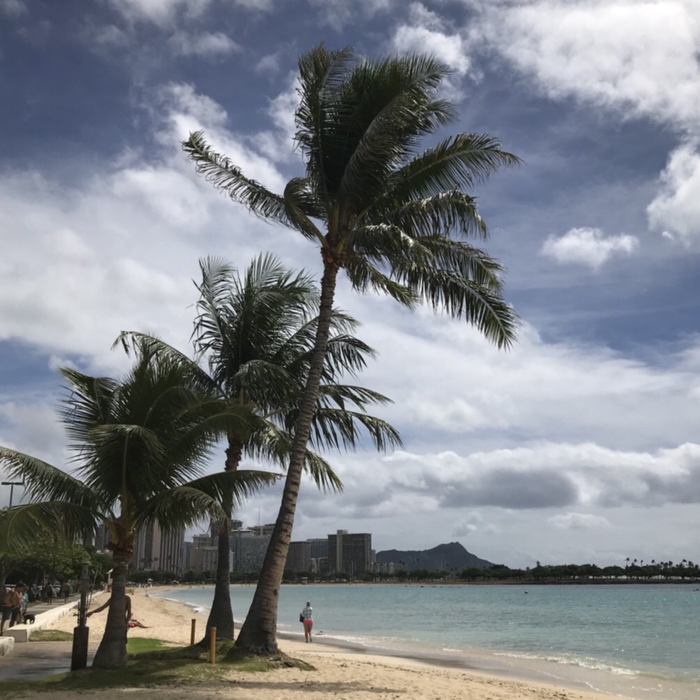 ワイマナロビーチとバニヤンビーチ