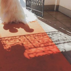 フォトツアー＠セントラルユニオン大聖堂