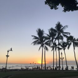 サンセットタイム