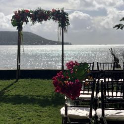 ツリーハウスウェディング