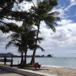 ついにハロウィン