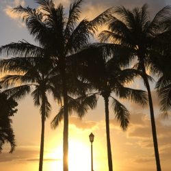 クアロアランチ！