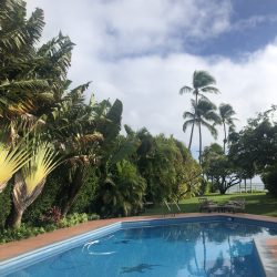 ハワイのクリスマス