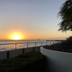 ホノルルマラソン