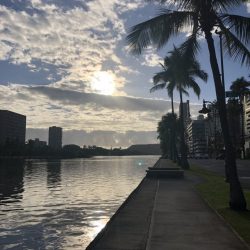 本日のヘアスタイル