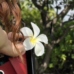 ハワイフォトウェディング 2019