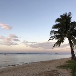 サンライズ ラン!