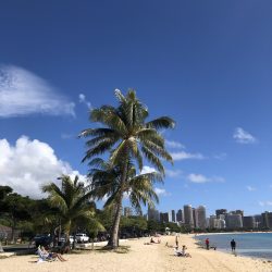 ビーチでの撮影