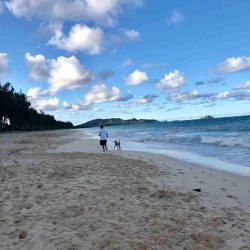 ワイマナロビーチ