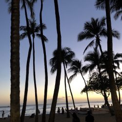 ハワイウェディング～サンセットレセプション～