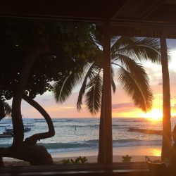 ミッシェルズアットザコロニーサーフ