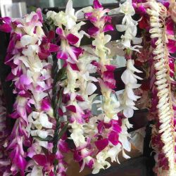 レイでお祝い！ハワイの卒業式