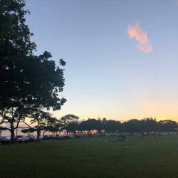 ハワイでクルージング！