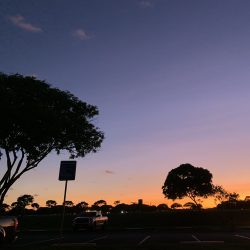 ハワイならではのサンセット