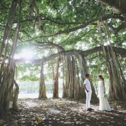 人気のウェディングフォトツアー