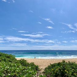 東海岸ビーチ💛