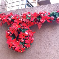 クリスマスムード☆