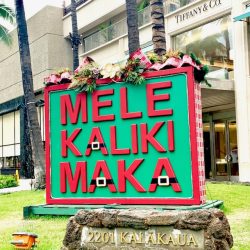 ハワイアンクリスマス☆彡