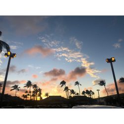 サンセット　ウェディング