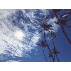 ハワイウェディングフォト～アラモアナビーチ～