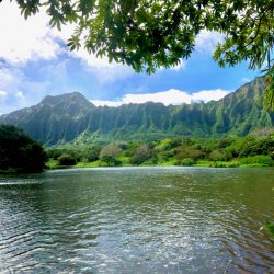 Ho'omaluhia Botanical Garden (ホオマルヒア植物園)