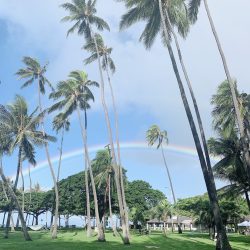 ある日の一コマ