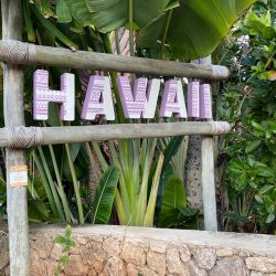 ハワイポリネシアン文化センター