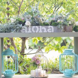 ♡ハワイのお花♡