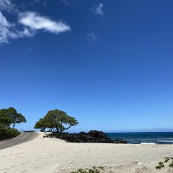 【ハワイ出張レポート】続編：Four Seasons Resort Hualalai(フォーシーズンズリゾートフアラライ)＠ハワイ島