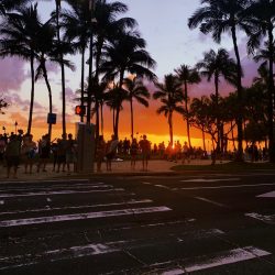 【ハワイ現地レポート】~サンセット編~